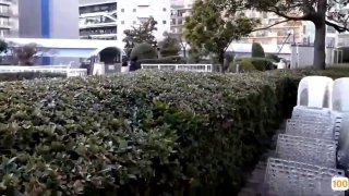怀阳风韵骚妻，虽然40岁了但身材还是很漂亮，操起来嘎嘎叫，难以满足的放荡春声！